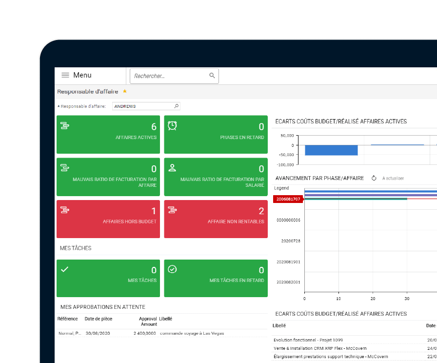 Cegid XRP Flex, Gestion d'Affaires